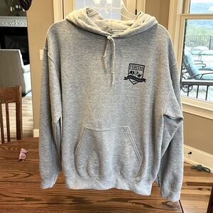 Veritas Classical School Gray Hoodie